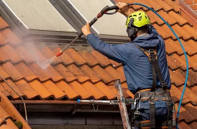 Démoussage et hydrofuge de toiture à Praslay